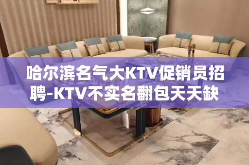 哈尔滨名气大KTV促销员招聘-KTV不实名翻包天天缺人