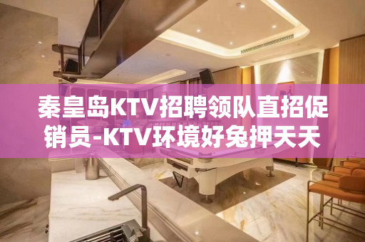 秦皇岛KTV招聘领队直招促销员-KTV环境好兔押天天二房