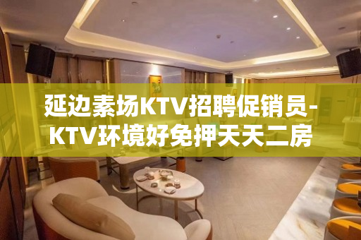 延边素场KTV招聘促销员-KTV环境好免押天天二房