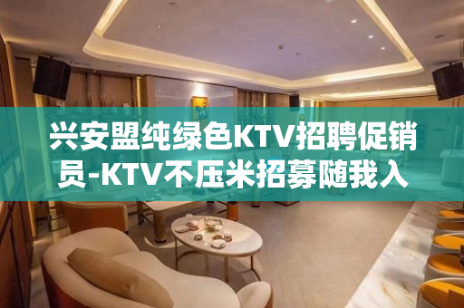 兴安盟纯绿色KTV招聘促销员-KTV不压米招募随我入行