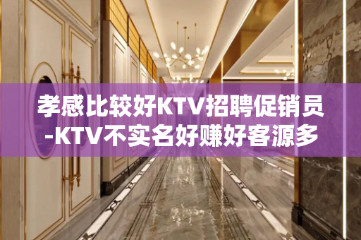 孝感比较好KTV招聘促销员-KTV不实名好赚好客源多