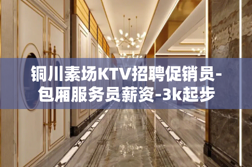 铜川素场KTV招聘促销员-包厢服务员薪资-3k起步