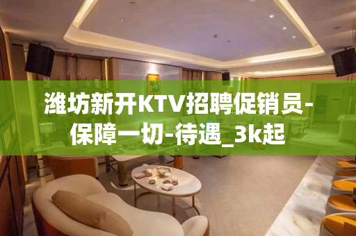 潍坊新开KTV招聘促销员-保障一切-待遇_3k起