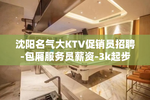 沈阳名气大KTV促销员招聘-包厢服务员薪资-3k起步