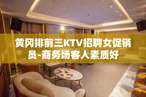 黄冈排前三KTV招聘女促销员-商务场客人素质好