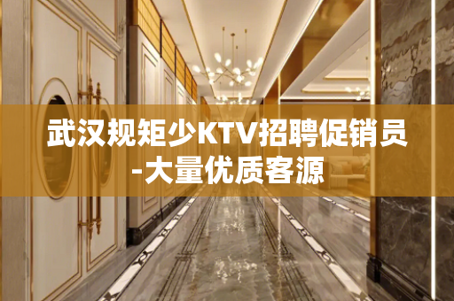 武汉规矩少KTV招聘促销员-大量优质客源