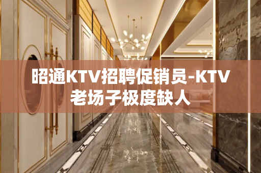昭通KTV招聘促销员-KTV老场子极度缺人