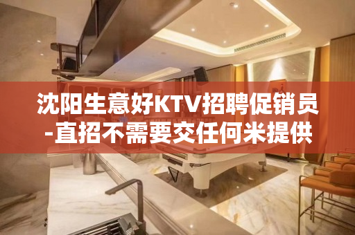 沈阳生意好KTV招聘促销员-直招不需要交任何米提供住宿
