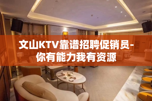 文山KTV靠谱招聘促销员-你有能力我有资源