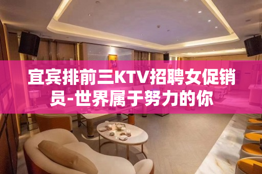 宜宾排前三KTV招聘女促销员-世界属于努力的你
