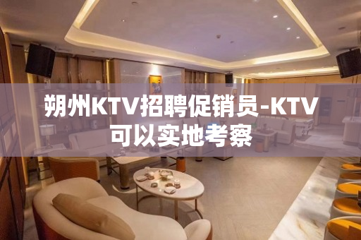 朔州KTV招聘促销员-KTV可以实地考察