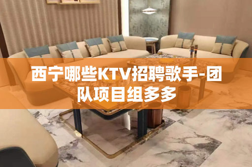 西宁哪些KTV招聘歌手-团队项目组多多