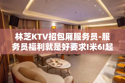 林芝KTV招包厢服务员-服务员福利就是好要求I米6I起