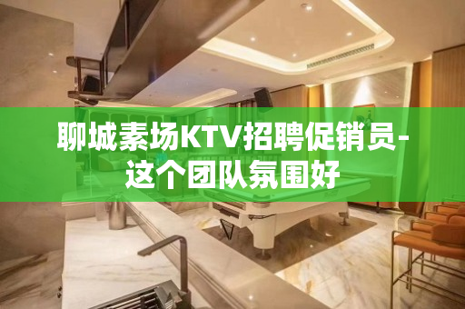 聊城素场KTV招聘促销员-这个团队氛围好