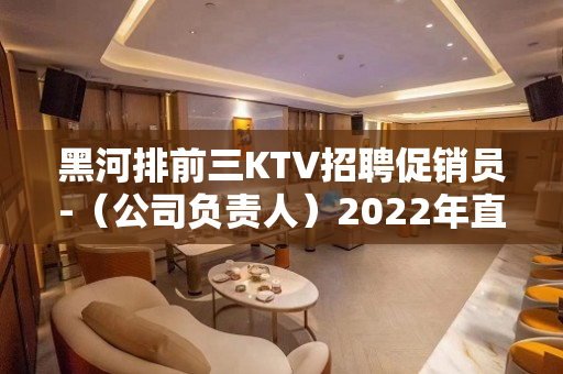 黑河排前三KTV招聘促销员-（公司负责人）2022年直招