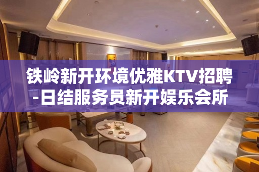 铁岭新开环境优雅KTV招聘-日结服务员新开娱乐会所KTV