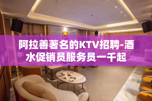阿拉善著名的KTV招聘-酒水促销员服务员一千起