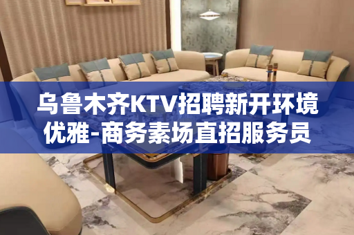 乌鲁木齐KTV招聘新开环境优雅-商务素场直招服务员促销员