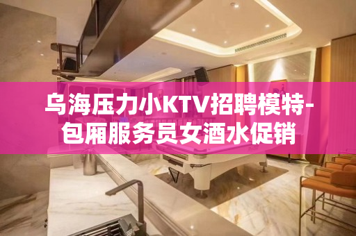 乌海压力小KTV招聘模特-包厢服务员女酒水促销