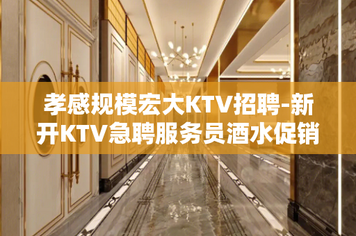 孝感规模宏大KTV招聘-新开KTV急聘服务员酒水促销员