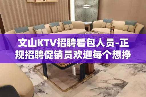 文山KTV招聘看包人员-正规招聘促销员欢迎每个想挣钱的促销员