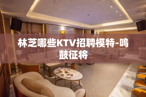 林芝哪些KTV招聘模特-鸣鼓征将
