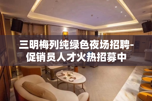 三明梅列纯绿色夜场招聘-促销员人才火热招募中