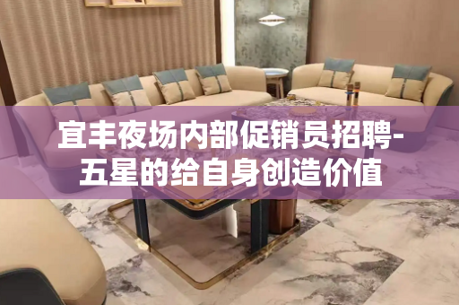 宜丰夜场内部促销员招聘-五星的给自身创造价值