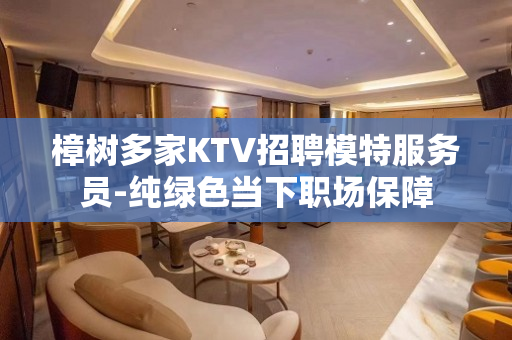 樟树多家KTV招聘模特服务员-纯绿色当下职场保障