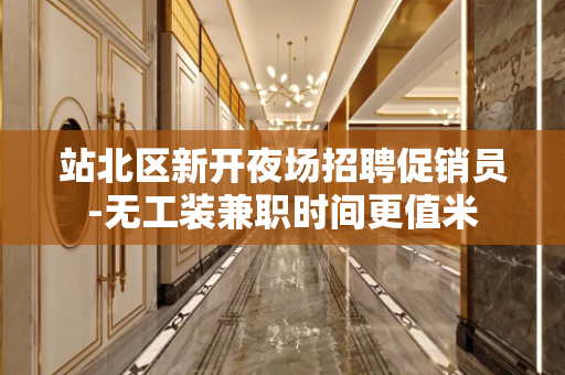 站北区新开夜场招聘促销员-无工装兼职时间更值米