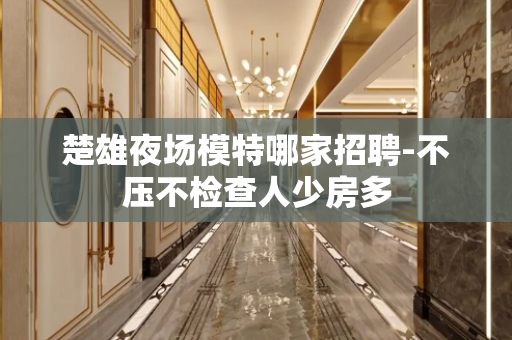 楚雄夜场模特哪家招聘-不压不检查人少房多