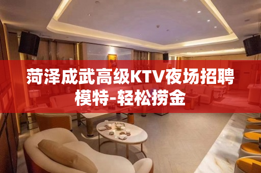 菏泽成武高级KTV夜场招聘模特-轻松捞金