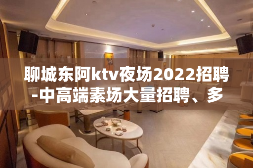 聊城东阿ktv夜场2022招聘-中高端素场大量招聘、多幸运我