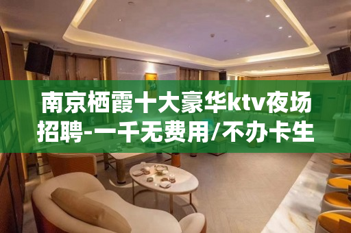 南京栖霞十大豪华ktv夜场招聘-一千无费用/不办卡生意稳定