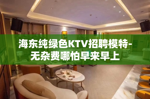 海东纯绿色KTV招聘模特-无杂费哪怕早来早上