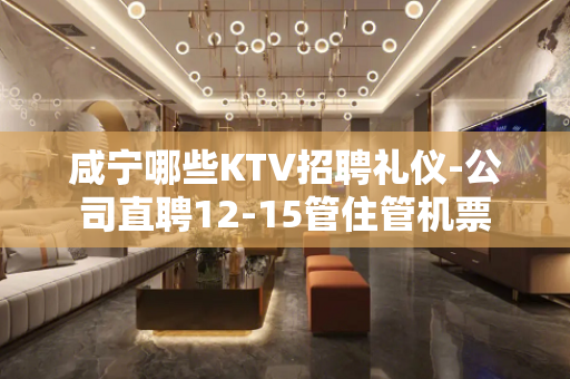 咸宁哪些KTV招聘礼仪-公司直聘12-15管住管机票