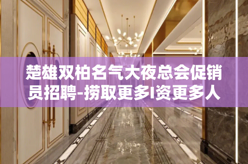 楚雄双柏名气大夜总会促销员招聘-捞取更多I资更多人脉关系