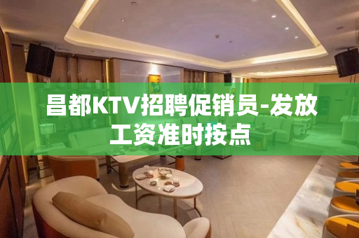 昌都KTV招聘促销员-发放工资准时按点