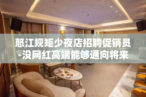 怒江规矩少夜店招聘促销员-没网红高端能够通向将来