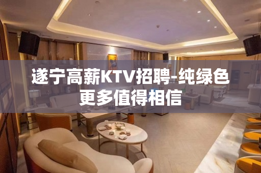 遂宁高薪KTV招聘-纯绿色更多值得相信