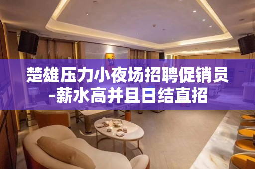 楚雄压力小夜场招聘促销员-薪水高并且日结直招