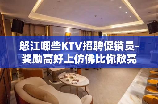 怒江哪些KTV招聘促销员-奖励高好上仿佛比你敞亮