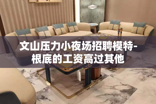 文山压力小夜场招聘模特-根底的工资高过其他