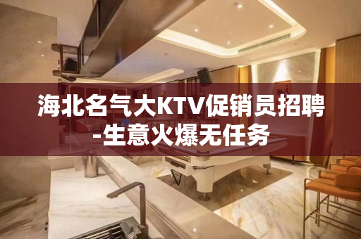 海北名气大KTV促销员招聘-生意火爆无任务