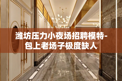 潍坊压力小夜场招聘模特-包上老场子极度缺人