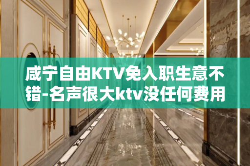 咸宁自由KTV免入职生意不错-名声很大ktv没任何费用