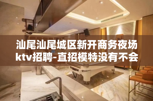 汕尾汕尾城区新开商务夜场ktv招聘-直招模特没有不会干的事