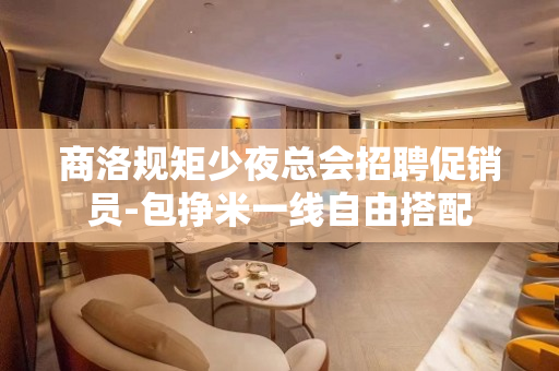商洛规矩少夜总会招聘促销员-包挣米一线自由搭配