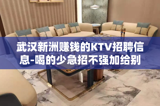 武汉新洲赚钱的KTV招聘信息-喝的少急招不强加给别人