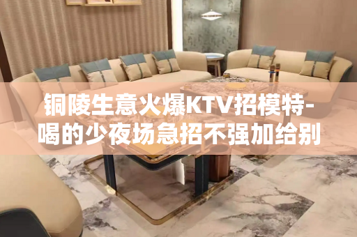 铜陵生意火爆KTV招模特-喝的少夜场急招不强加给别人